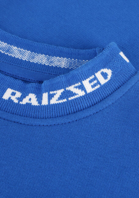 Blaue RAIZZED Pullover MITCHEL - large