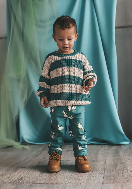 Grüne YOUR WISHES Pullover STRIPE MONTANA - large