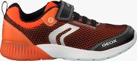 Orangene GEOX Sneaker low J826PB - medium