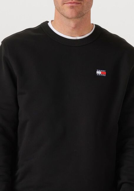 Schwarze TOMMY JEANS Pullover TJM REG BADGE CREW EXT - large