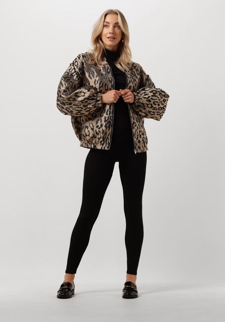 Braune STUDIO AMAYA Jack FENNA - large