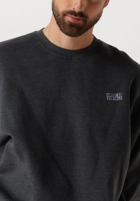 Dunkelgrau AMERICAN VINTAGE Pullover DOVEN H - large
