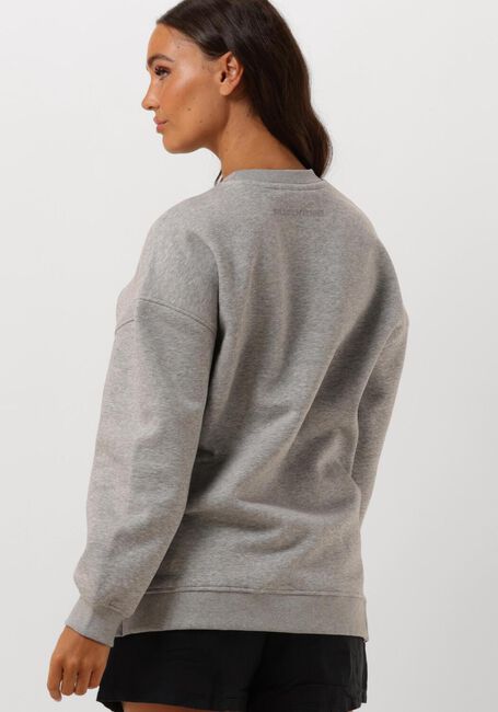 Hellgrau SELECTED FEMME Sweatshirt SLFGIA YRSA LS CREW NECK SWEAT - large