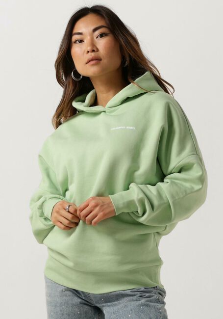 Minze COLOURFUL REBEL Pullover CR BACK LOGO DROPPED SHOULDER HOODIE - large