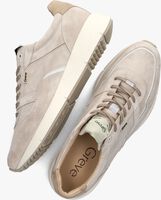 Graue GREVE Sneaker low WALKER 2928S - medium