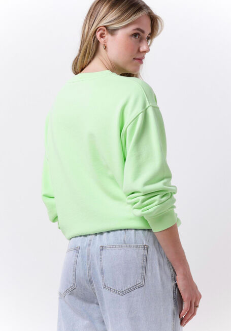 Grüne CATWALK JUNKIE Pullover SW HARVEST LOVE - large
