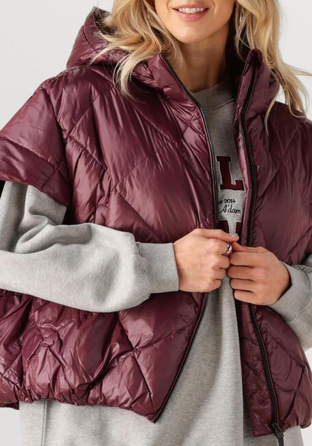 Bordeaux DEBLON SPORTS Wattierte Jack STEVIE BODYWARMER - large