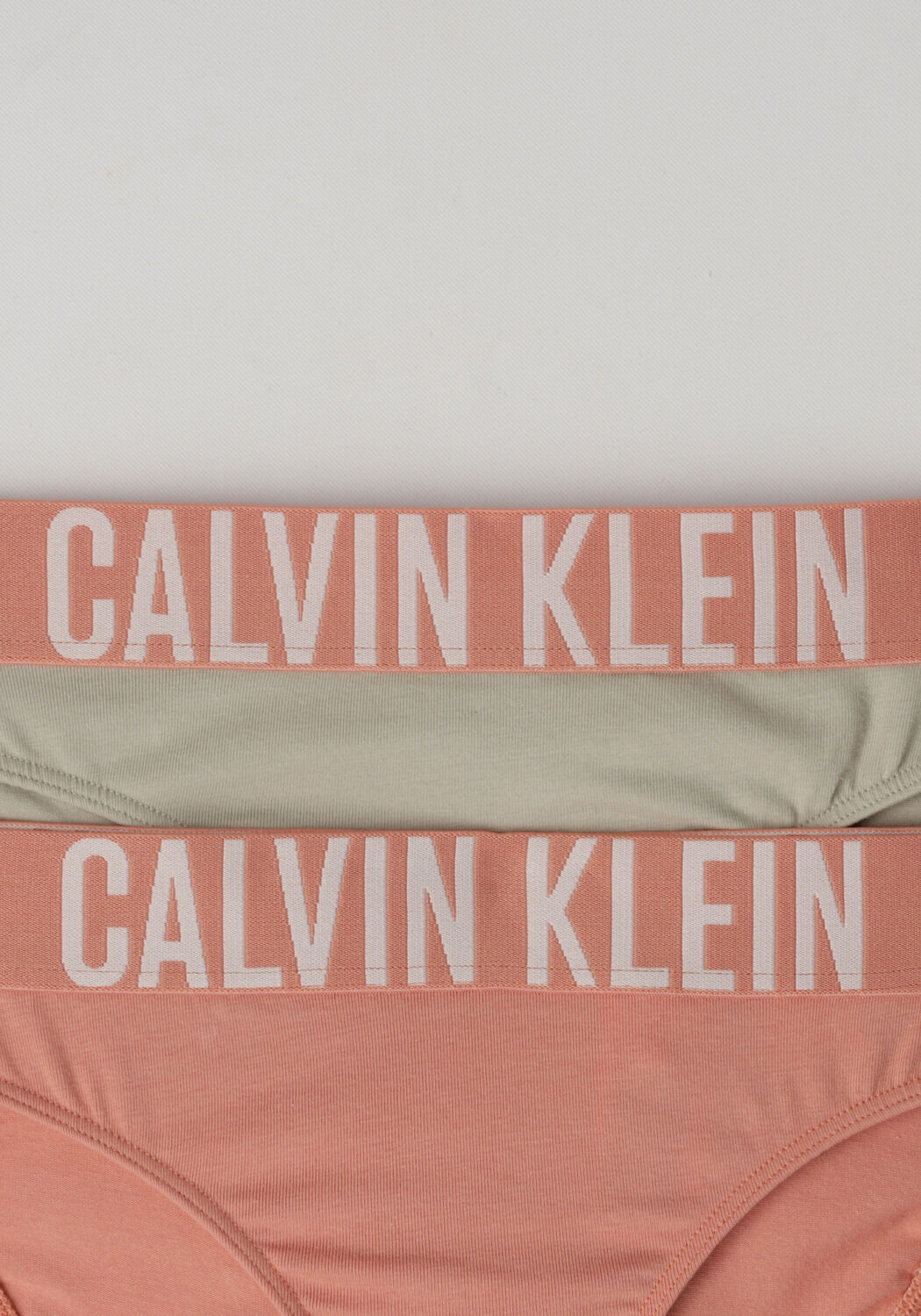 Rosane CALVIN KLEIN UNDERWEAR Unterw&auml;sche 2PK BIKINI - large