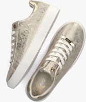 Goldfarbene MEXX Sneaker low LOUA - medium