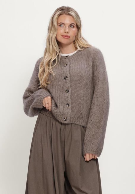 Taupe INWEAR Pullover JETRAIW CARDIGAN - large