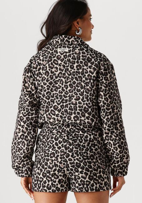 Braune COLOURFUL REBEL Jack BENTE LEOPARD JACQUARD BOMBER JACKET - large