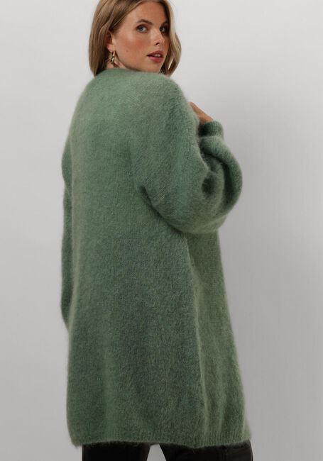Grüne AMERICAN DREAMS Strickjacke LEE MIDI CARDIGAN - large