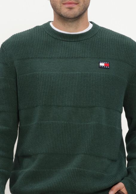 Dunkelgr&uuml;n TOMMY JEANS Pullover TJM REG TEXTURED SWEATER EXT - large