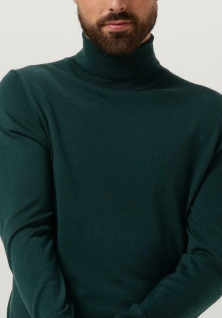 Grüne DRYKORN Rollkragenpullover JOEY 420002 - large