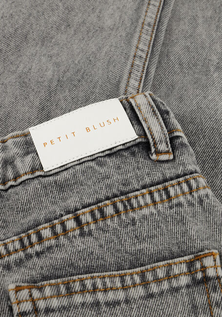 Graue PETIT BLUSH Mom jeans BAGGY FIT JEANS - large