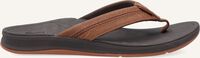 Braune REEF Zehentrenner ORTHO BOUNCE COAST MEN Braune REEF Zehentrenner ORTHO BOUNCE COAST MEN - medium