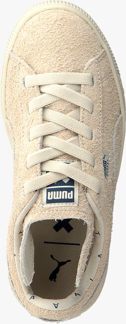 Beige PUMA Sneaker low PUMA X TC BASKET FURRY - large