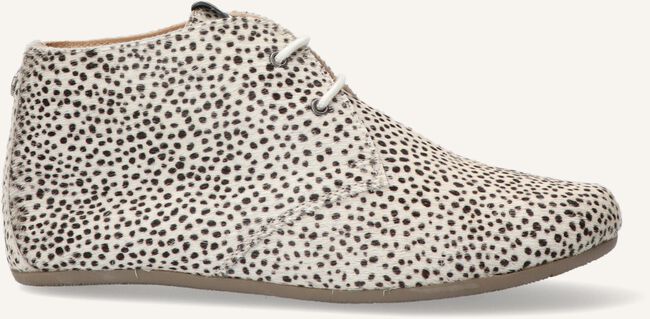 Beige MARUTI Schnürschuhe GIMLET Beige MARUTI Schnürschuhe GIMLET - large