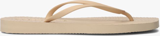 Beige SLEEPERS Zehentrenner TAPERED - large