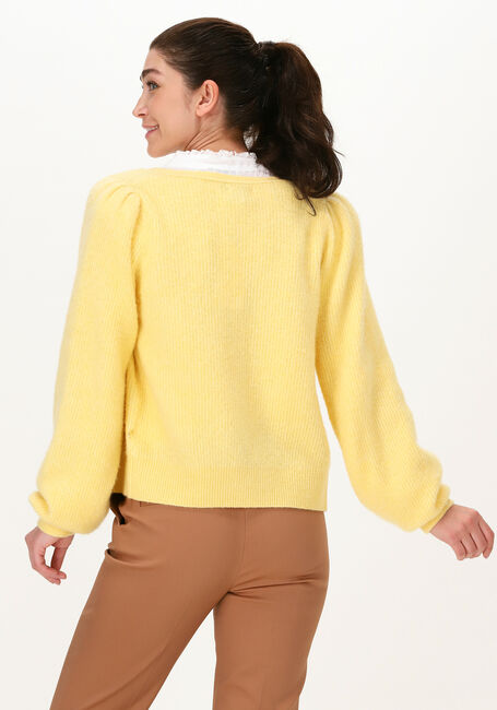 Gelbe FABIENNE CHAPOT Strickjacke SALLY CARDIGAN LONG SLEEVE - large
