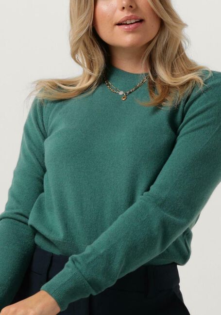 Grüne VANILIA Pullover MAGNOLIA ROUND NECK - large