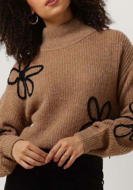 Braune FABIENNE CHAPOT Pullover JIN PULLOVER - large