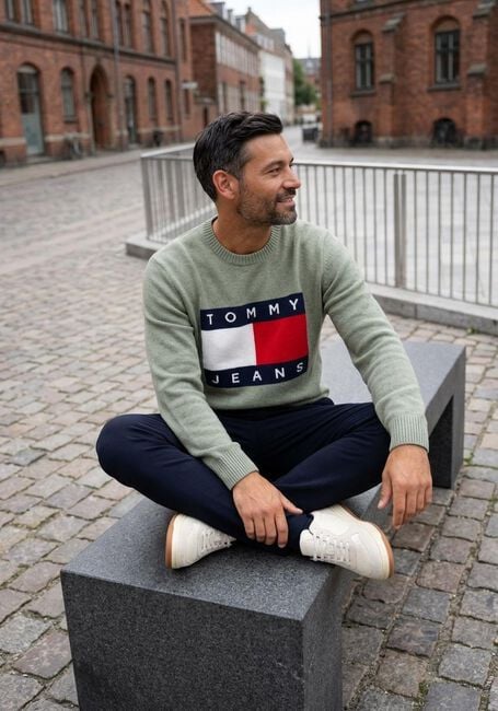 Gr&uuml;ne TOMMY JEANS Pullover TJM REG MELANGE FLAG SWEATER - large