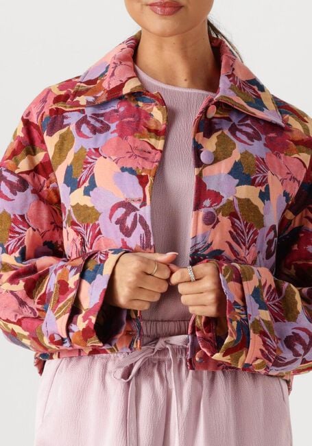 Mehrfarbige/Bunte AMAYA AMSTERDAM Jack 261-42 - large