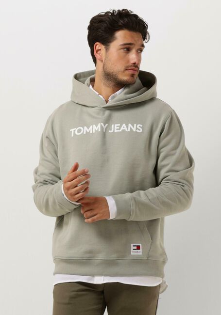 Grüne TOMMY JEANS Pullover TJM REG BOLD CLASSICS HOODIE EXT - large