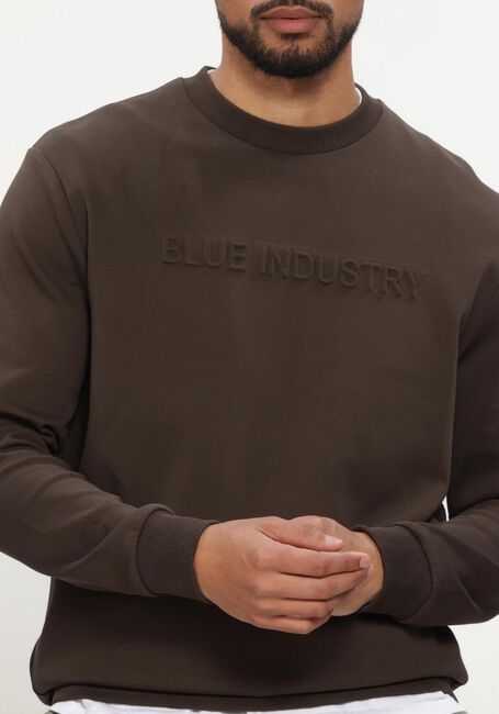 Braune BLUE INDUSTRY Sweatshirt SWEATER - large
