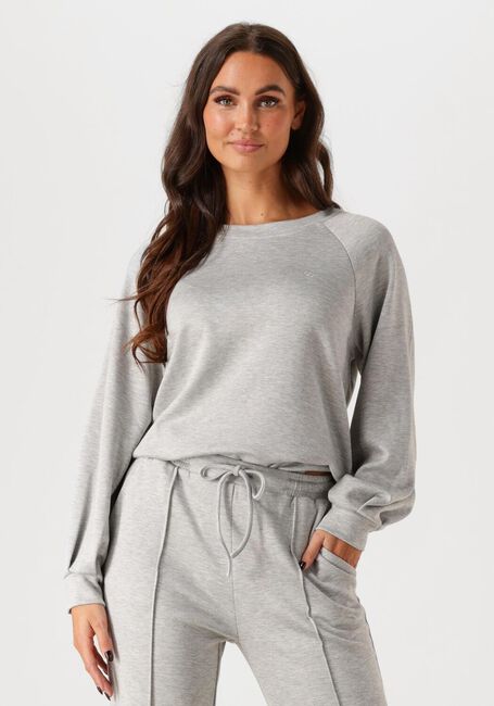 Graue AIMEE THE LABEL Pullover NOVY - large