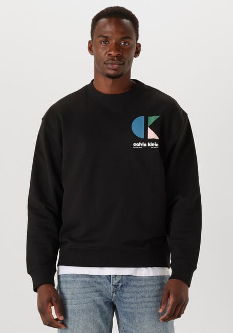 Schwarze CALVIN KLEIN Sweatshirt LS E 350TRRY CK BHS - large