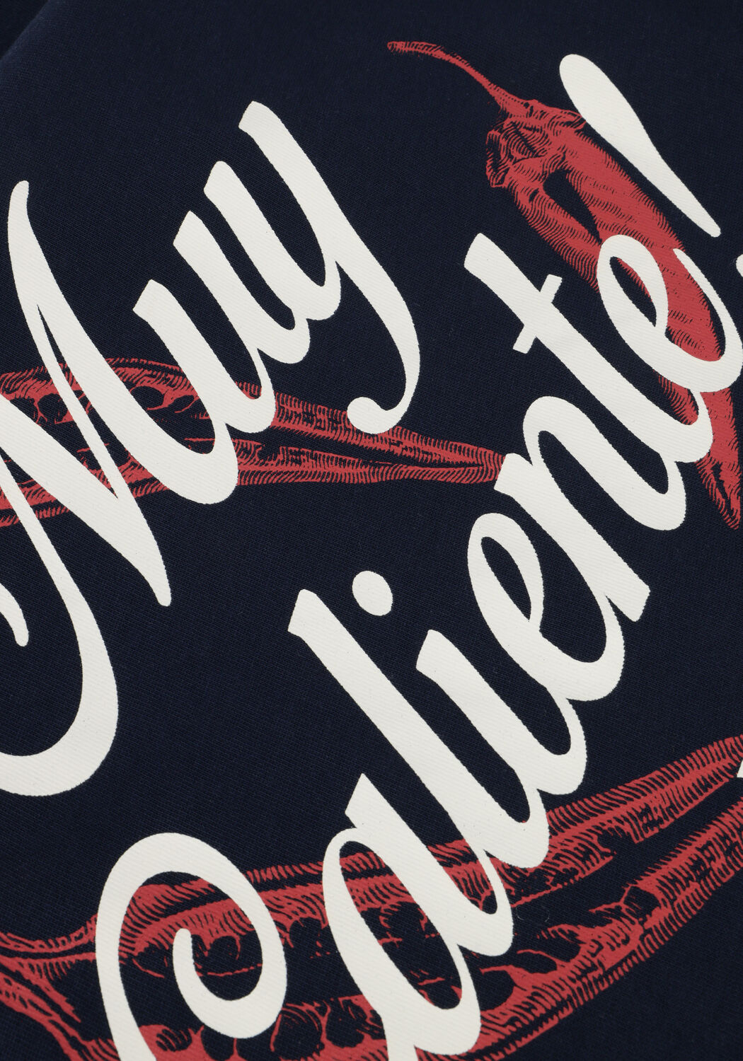 Dunkelblau PURE PATH T-shirt REGULAR FIT CREWNECK SS T-SHIRTS - large