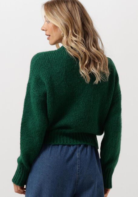 Dunkelgrün BY-BAR Pullover SONNY BULKY PULLOVER - large