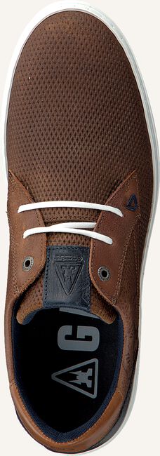Cognacfarbene GAASTRA Sneaker Low TILTON Cognacfarbene GAASTRA Sneaker Low TILTON - large