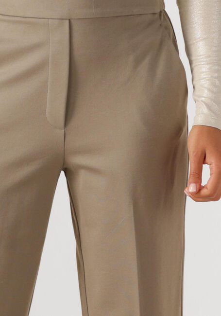 Taupe BEAUMONT Hose HOPE PANTS - large