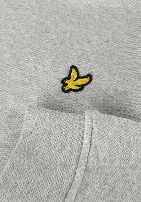 Hellgrau LYLE & SCOTT Pullover & Cardigans PULLOVER HOODIE BOYS - large