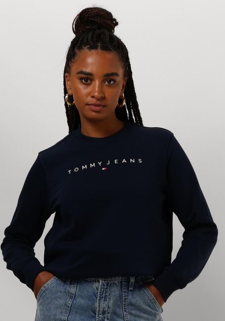 Blaue TOMMY JEANS Pullover TJW REG LINEAR CREW - large