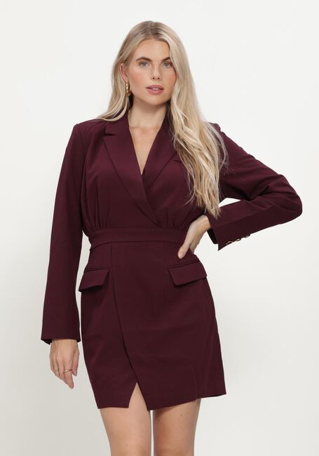 Bordeaux FREEBIRD Minikleid BLAZORA - large