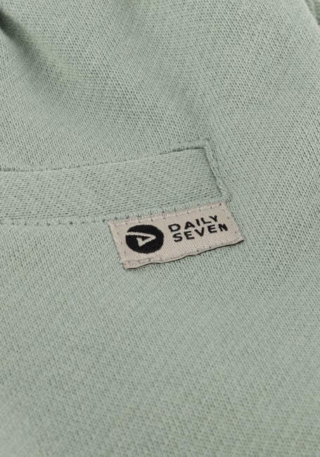 Gr&uuml;ne DAILY7 Kurze Hose SHORTS STRUCTURE - large