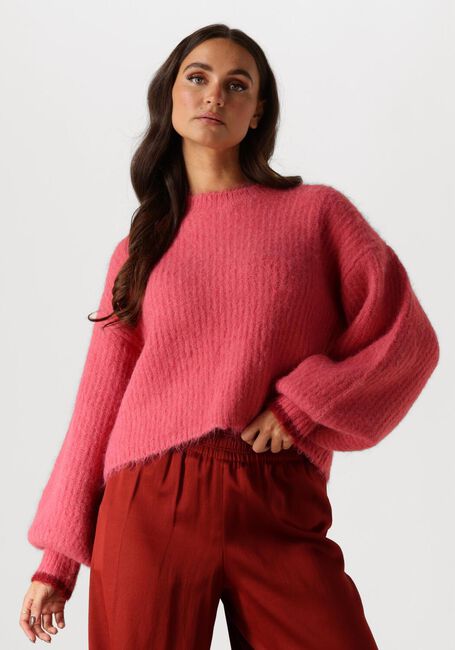 Rosane CO'COUTURE Pullover & Cardigans CORALEE CROP KNIT - large