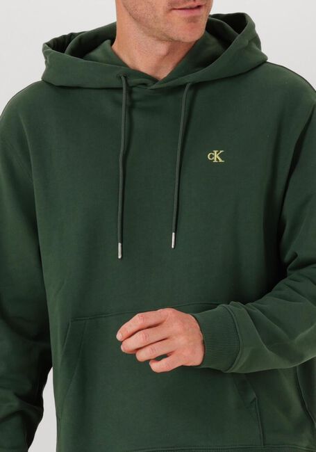 Dunkelgrün CALVIN KLEIN Sweatshirt LS EU 350TERRY MONOGRAM HOODIE - large