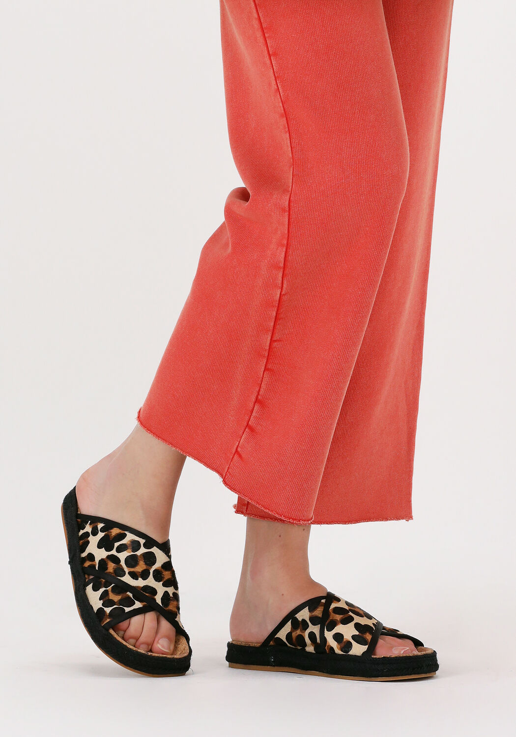 Schwarze SCOTCH & SODA Pantolette ANGLE - large