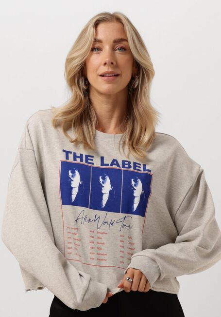 Graue ALIX THE LABEL Pullover & Cardigans LADIES KNITTED CROPPED WORLD TOUR SWEATER - large