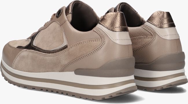 Taupe GABOR Sneaker low 525 - large
