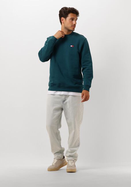 Blaue TOMMY JEANS Pullover TJM REG BADGE CREW EXT - large
