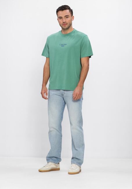 Gr&uuml;ne CALVIN KLEIN T-shirt SS 20S ACID WASH GRAPHIC CREWNK - large