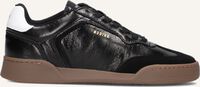 Schwarze NUBIKK Sneaker Low BLUEBERRY WING - medium