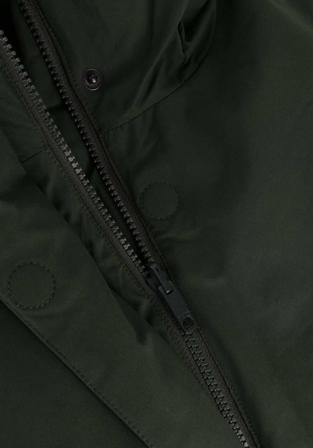 Gr&uuml;ne ELVINE Wattierte Jack ASHA - large