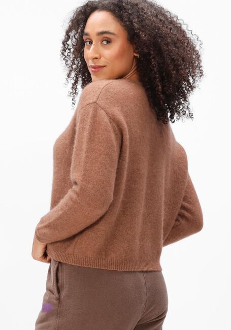 Braune AMERICAN VINTAGE Pullover VITOW - large